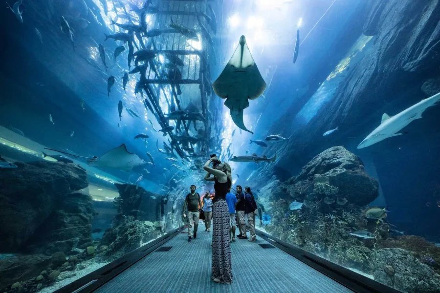 Dubai Aquarium and Underwater Zoo