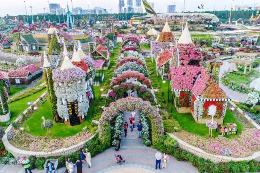 Miracle Garden Dubai – Private Transfers Available