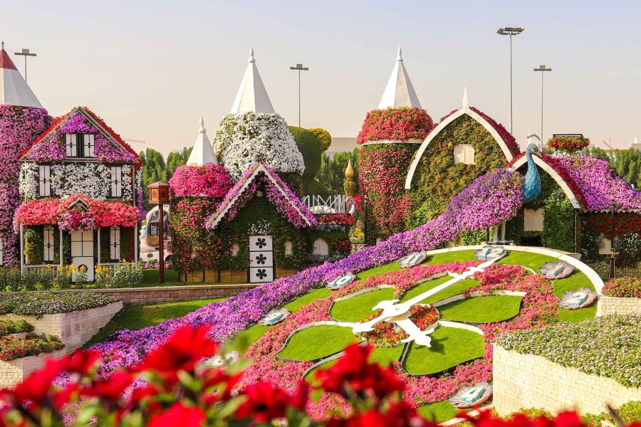 Miracle Garden Dubai – Sharing Transfers Available