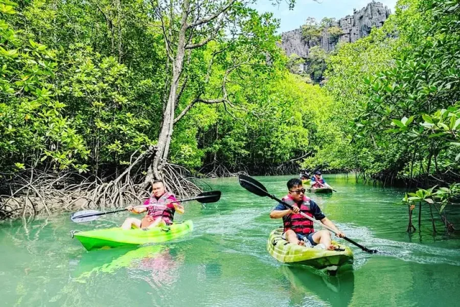 5 Hours Sharing Basis Kilim Mangrove Kayaking Tour