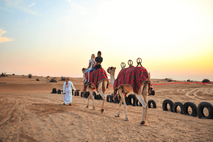 Sunrise Morning Safari Abu Dhabi (Sharing Transfers)