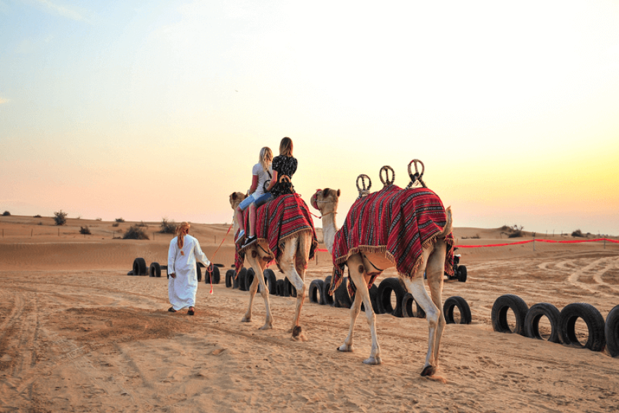 Camel Trekking (30 Minutes) – Abu Dhabi (Private Transfers)