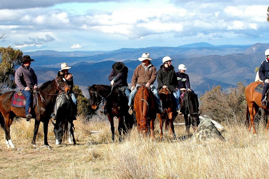 Marmaris Horse Safari