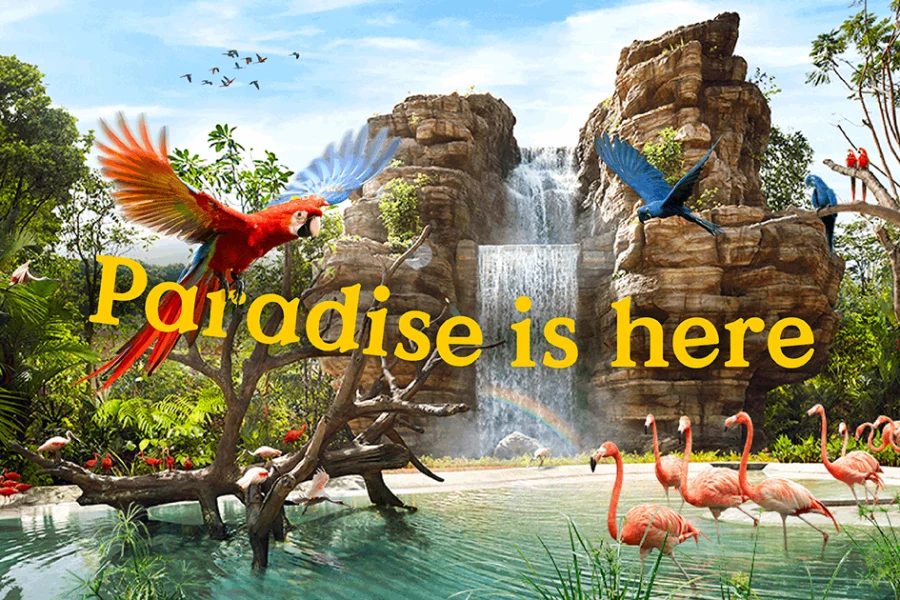 Bird Paradise Singapore – Ticket Only