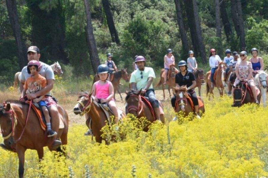 Horse Riding Tour in Bodrum with Hotel Pick Up