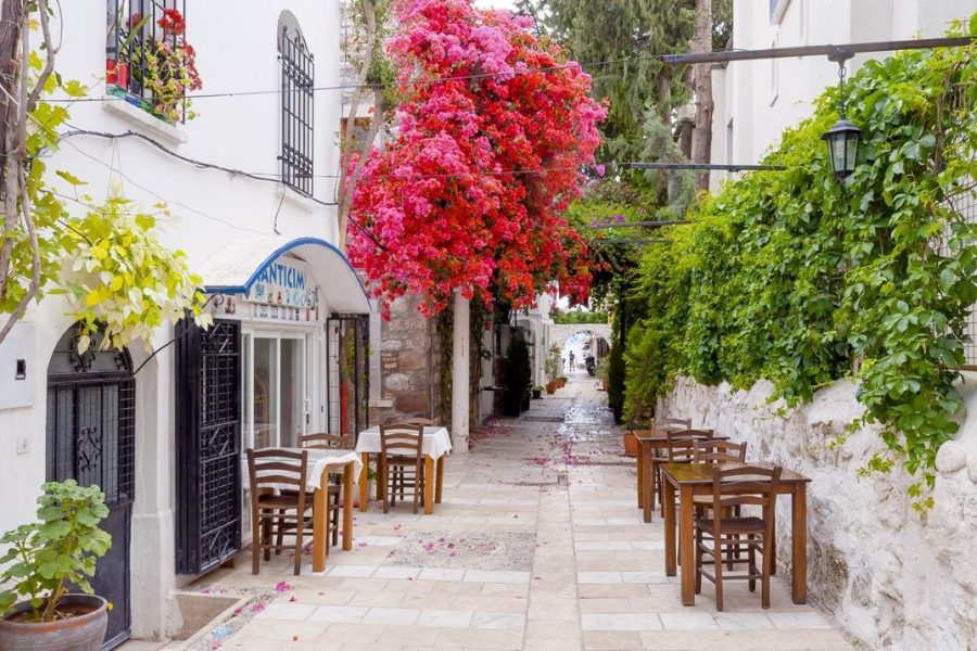 Bodrum Like a Local: Customized Private Tour