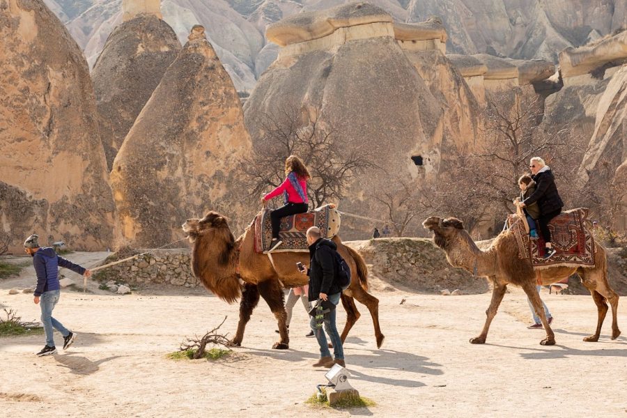 Cappadocia Camel Ride Tour