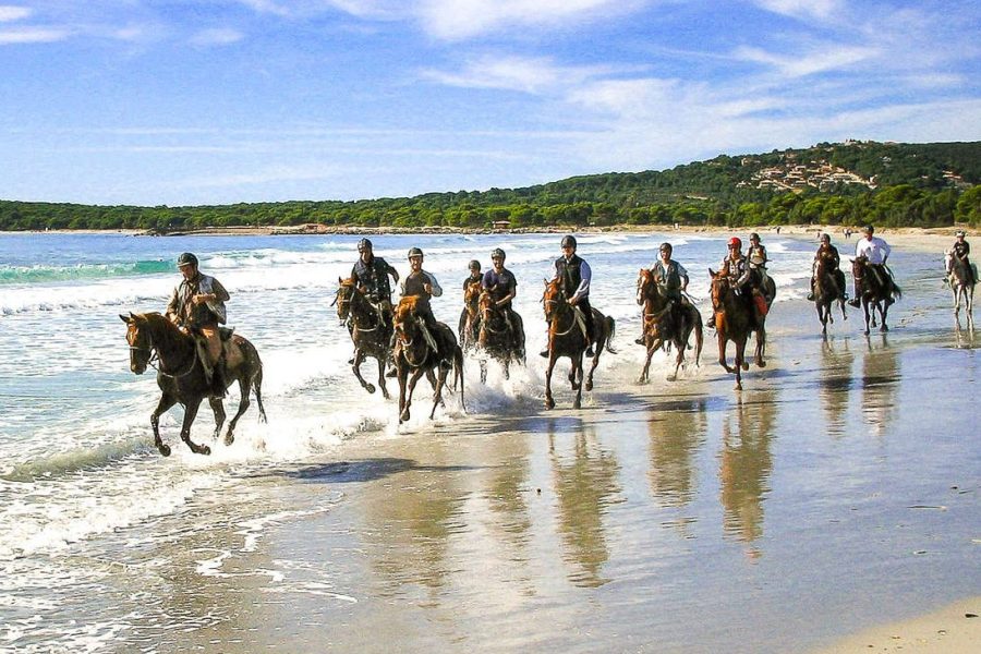 Kusadasi Horse Riding On Beach And Through The River