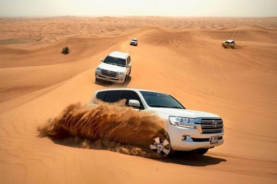 Liwa Safari Full Day – Abu Dhabi (Sharing Transfers)