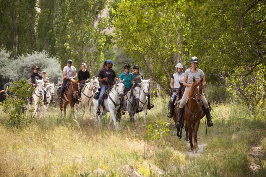 Fethiye Horse Riding Experience