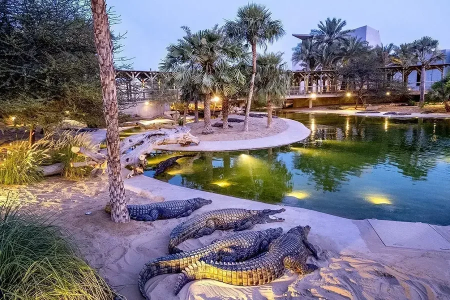 Dubai Crocodile Park – Ticket Only