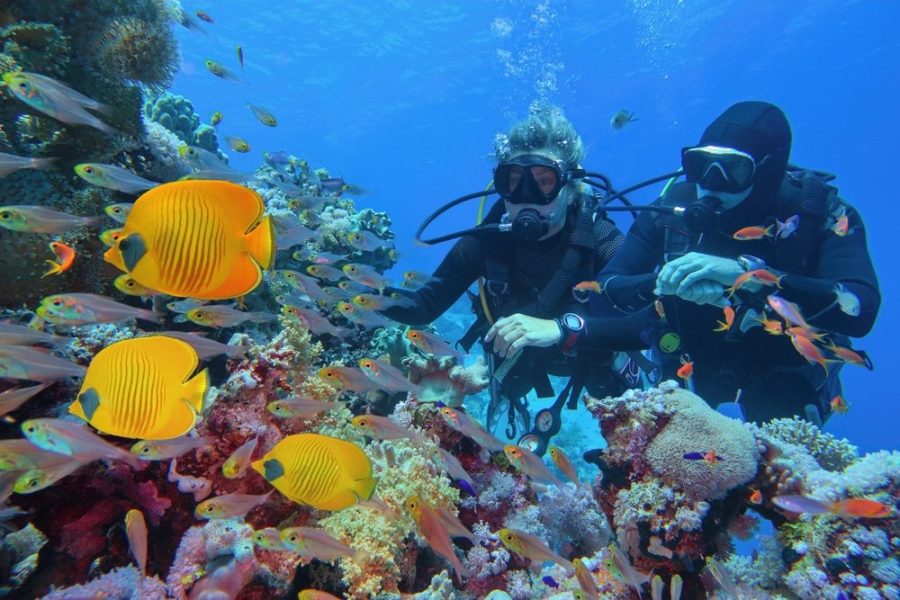 Scuba Diving Tour in Antalya with Lunch and Transfer