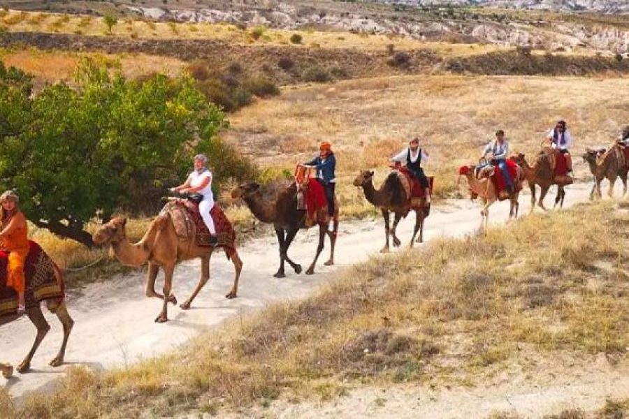 Fethiye Camel Riding at Ghost Town