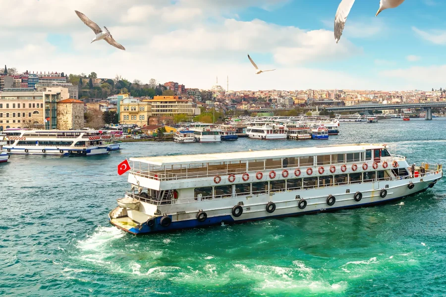 Istanbul Bosphorus Sightseeing Cruise